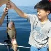 rent-private-charter-day-trip-fishing-trolling-phuket-thailand-3 rent-private-charter-day-trip-fishing-trolling-phuket-thailand-3
