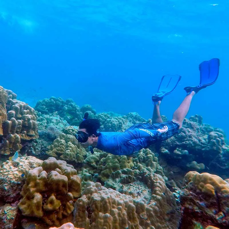 Best-snorkeling-Phuket-Krabi-Koh-Rok-Koh-Haa