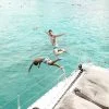 Half-Day-Sunset-Tour-Phuket-Luxury-Catamaran-Party-Cruise-2 Half-Day-Sunset-Tour-Phuket-Luxury-Catamaran-Party-Cruise-2