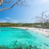 Phuket-Full-day-trip-Raya-Island-Coral-Island-by-speedboat-9
