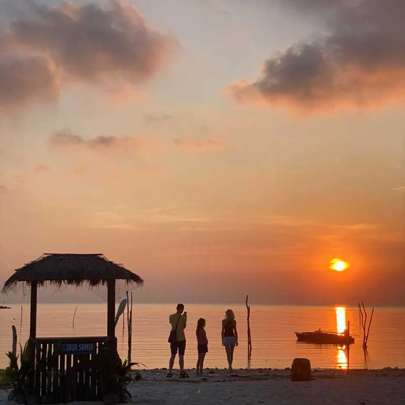 afternoon-sunset-tour-pig-island-koh-madsum-koh-tan-2 afternoon-sunset-tour-pig-island-koh-madsum-koh-tan-2