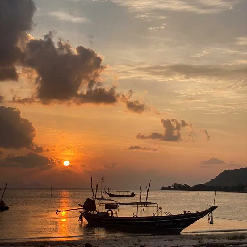 afternoon-sunset-tour-pig-island-koh-madsum-koh-tan-3 afternoon-sunset-tour-pig-island-koh-madsum-koh-tan-3