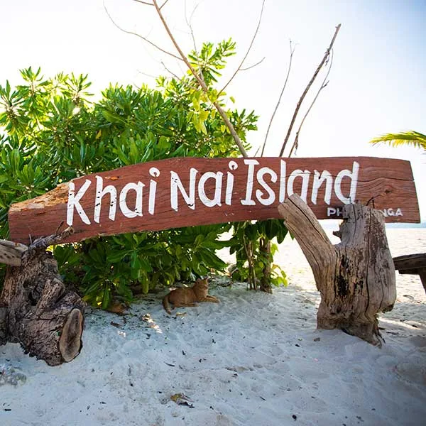 day-tour-phi-phi-khai-nai-island-speedboat-2022 day-tour-phi-phi-khai-nai-island-speedboat-2022
