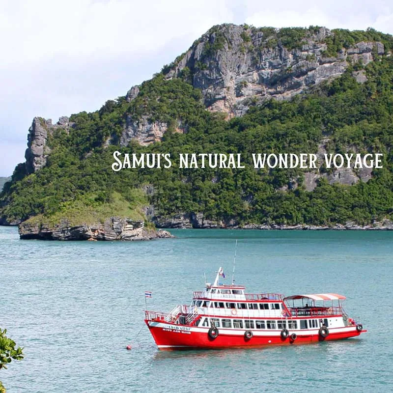 highsea-tour-angthong-marine-park-koh-samui-big-boat-3