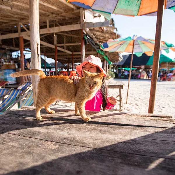 khai-nai-full-day-tour-phi-phi-island-speedboat