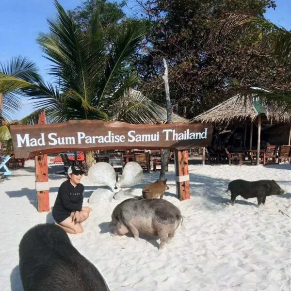 koh-samui-half-day-sunset-koh-tan-koh-madsum