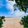 krabi-national-park-bamboo-island-tour