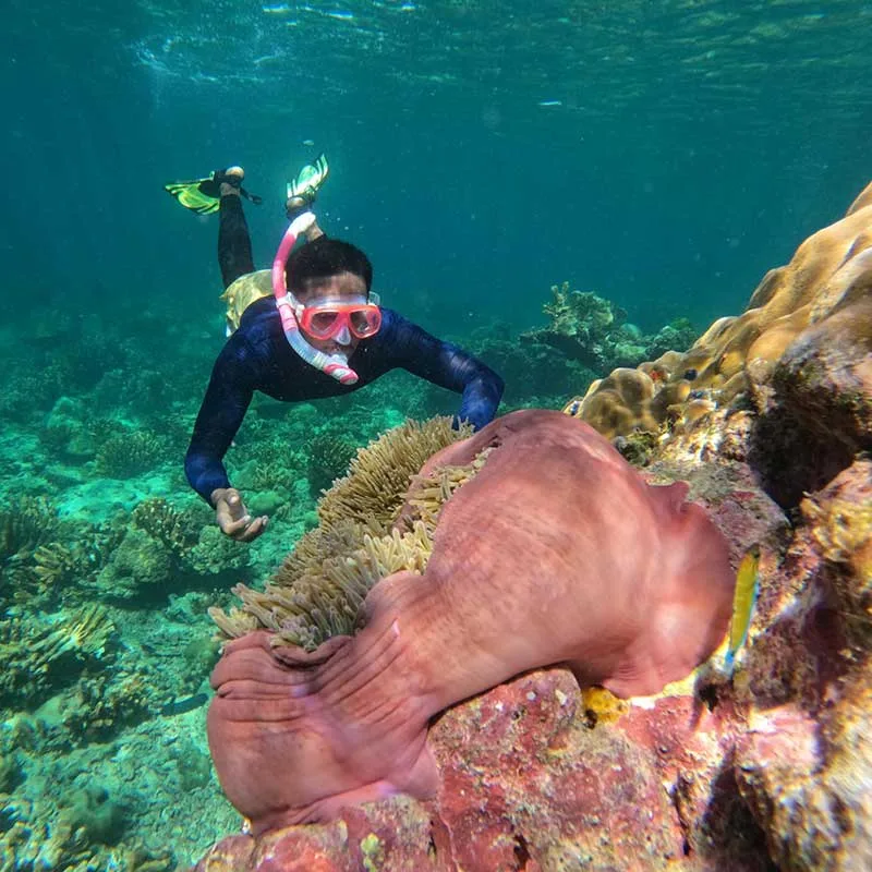 krabi-rok-haa-islands-snorkeling-tour-day-trip