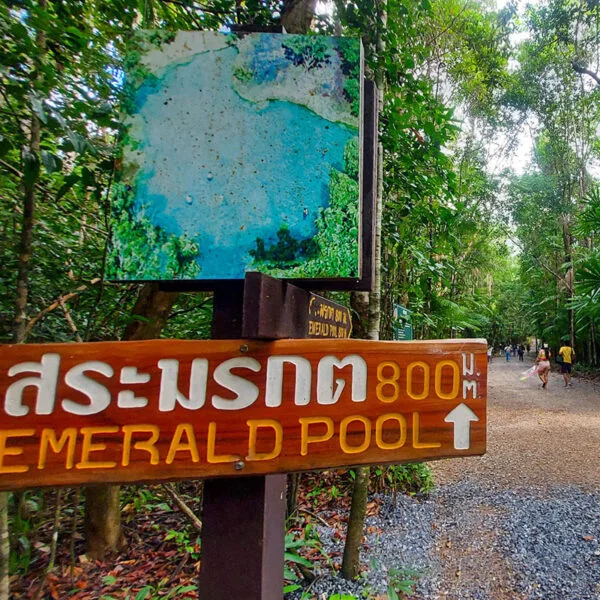 krabi-tours-hot-spring-emerald-pool-tiger-temple-join-tour-5