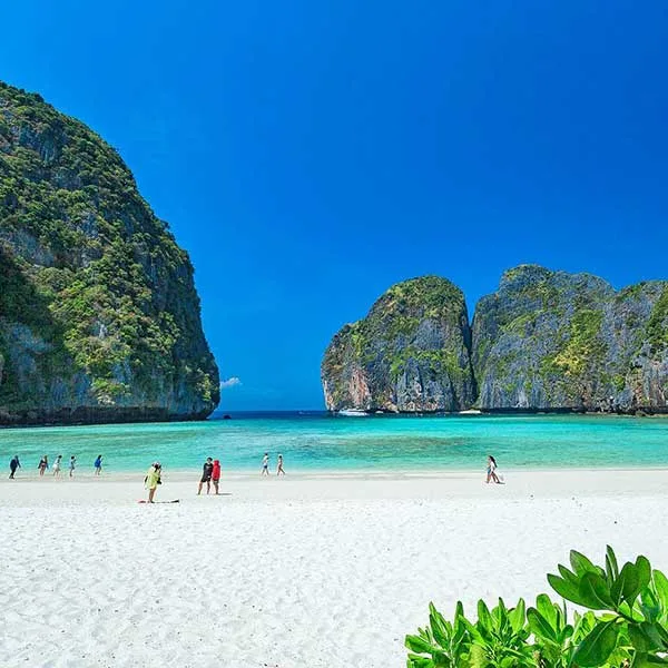 maya-beach-open-2022-tour-phuket maya-beach-open-2022-tour-phuket