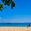 phi-phi-maya-bay-bamboo-island-speed-boat