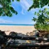 phuket-tour-krabi-bamboo-island-speed-boat