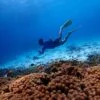 similan-island-tour-snorkeling-trip
