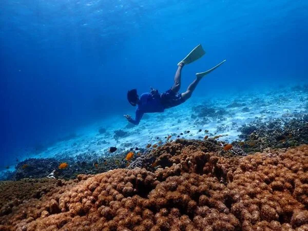 similan-island-tour-snorkeling-trip