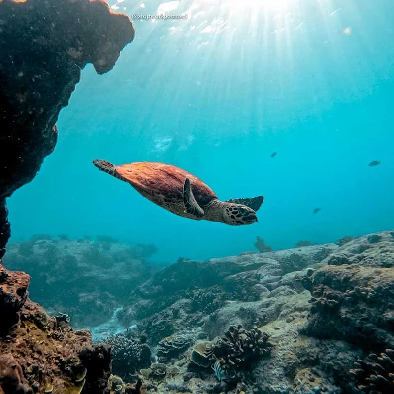 snorkeling-trip-Similan-island-speedboat-Phuket-Khaolak