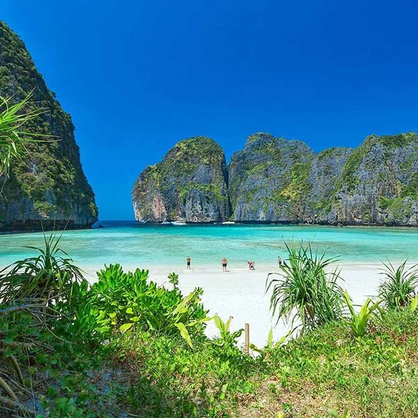 the-beach-maya-bay-2022-open the-beach-maya-bay-2022-open