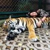 Book-Ticket-Tiger-Kingdom-Phuket-2 Book-Ticket-Tiger-Kingdom-Phuket-2
