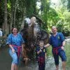 Elephant-Care-ATV-White-Water-Rafting-Phuket Elephant-Care-ATV-White-Water-Rafting-Phuket