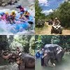 Full day Elephant Care White Water Rafting ATV Phuket Phang Nga