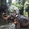 Full-day-Elephant-Care-White-Water-Rafting-Phuket-Phang-nga-2 Full-day-Elephant-Care-White-Water-Rafting-Phuket-Phang-nga-2