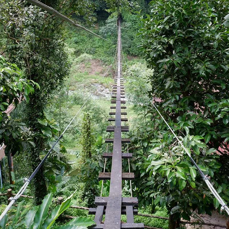 Premium-Day-Trip-Rafting-Rope-Bridge-Flying-Fox-Phuket