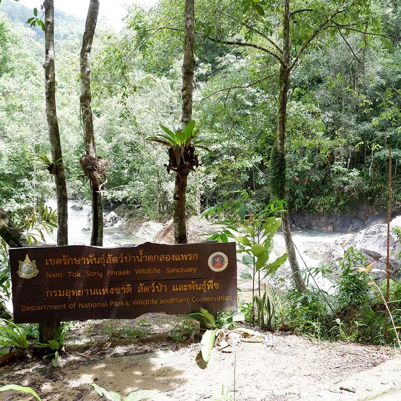 Premium-Day-Trip-White-Water-Rafting-waterfall-Phuket