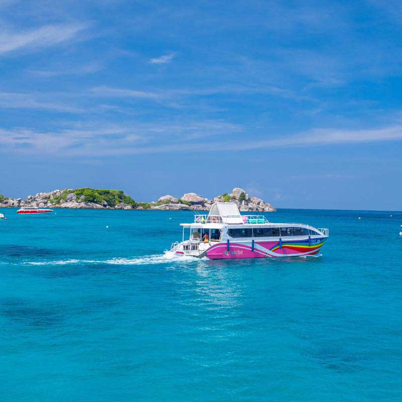 Speed-Catamaran-Tour-Racha-Maiton-Island-Dolphins-3 Speed-Catamaran-Tour-Racha-Maiton-Island-Dolphins-3