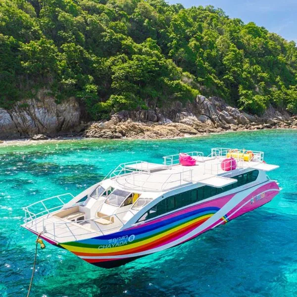 Speed-Catamaran-Tour-Racha-Maiton-Island-Dolphins-5