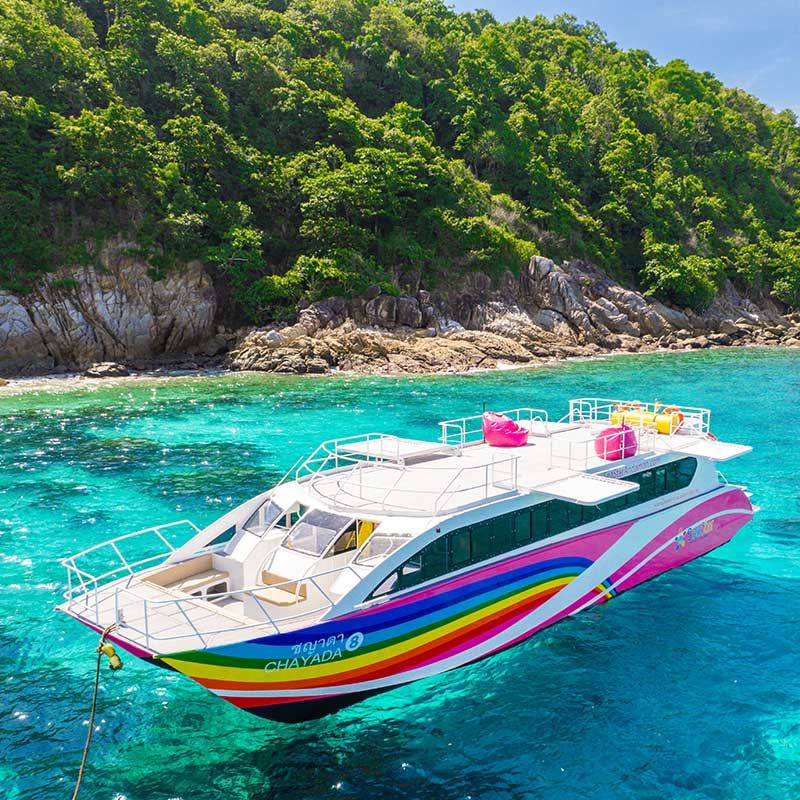 Speed-Catamaran-Tour-Racha-Maiton-Island-Dolphins-5 Speed-Catamaran-Tour-Racha-Maiton-Island-Dolphins-5