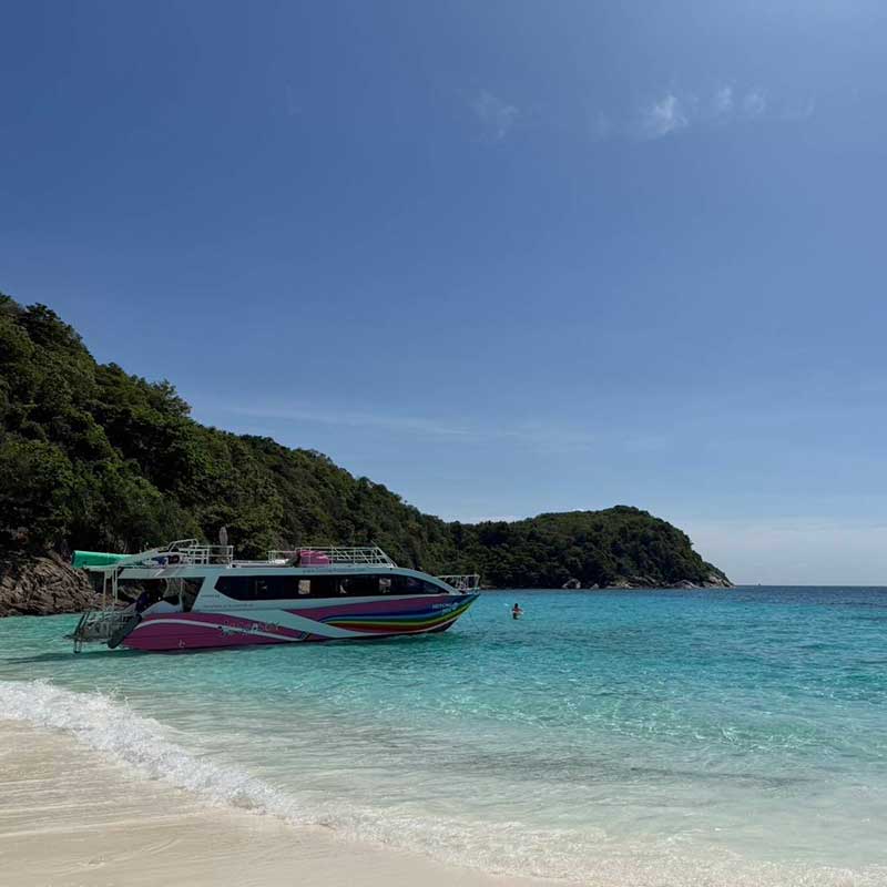 Speed-Catamaran-Tour-Racha-Maiton-Island-Dolphins Speed-Catamaran-Tour-Racha-Maiton-Island-Dolphins