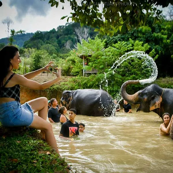 Swimming-with-elephants-Phuket Swimming-with-elephants-Phuket
