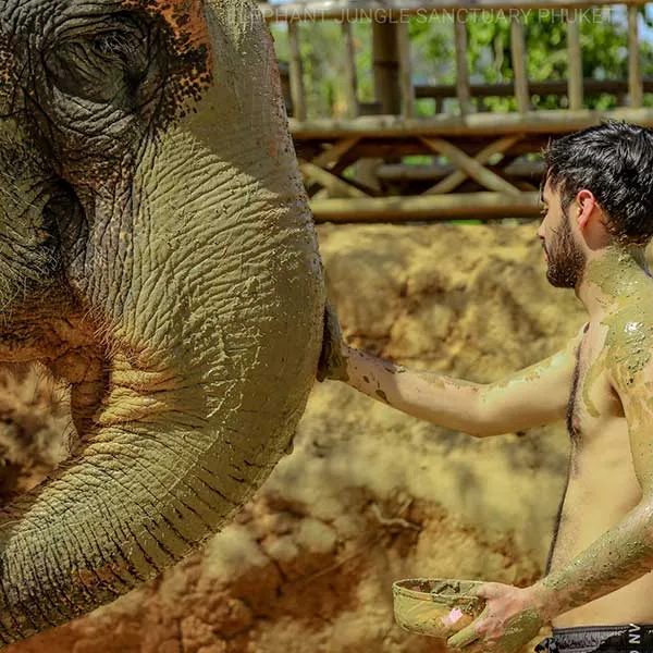 Walk-With-Elephant-Jungle-Sanctuary-Phuket Walk-With-Elephant-Jungle-Sanctuary-Phuket