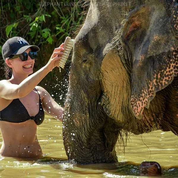bath-elephant-phuket-day-tour bath-elephant-phuket-day-tour