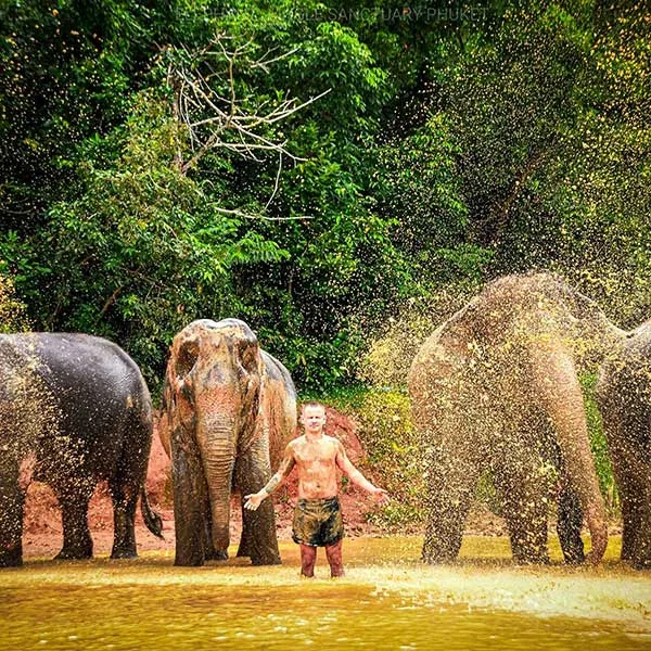day-tour-walk-with-elephant-jungle-sanctuary-phuket day-tour-walk-with-elephant-jungle-sanctuary-phuket