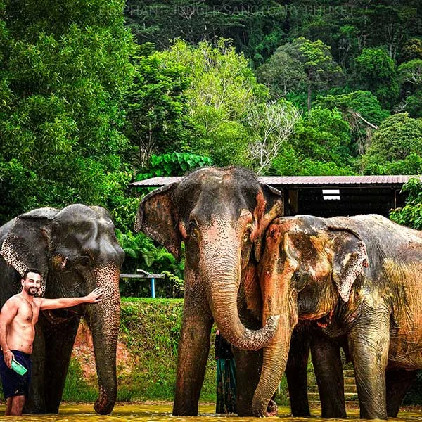 half-day-morning-afternoon-visit-elephant-phuket