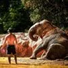 half-day-visit-elephant-sanctuary-phuket