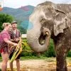 tour-thing-to-do-elephant-jungle-sanctuary-phuket