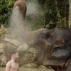 tour-thing-to-do-elephant-jungle-sanctuary-phuket-3 tour-thing-to-do-elephant-jungle-sanctuary-phuket-3
