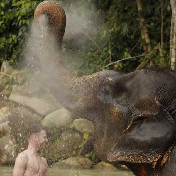 tour-thing-to-do-elephant-jungle-sanctuary-phuket-3 tour-thing-to-do-elephant-jungle-sanctuary-phuket-3