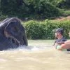 tour-thing-to-do-elephant-jungle-sanctuary-phuket-4 tour-thing-to-do-elephant-jungle-sanctuary-phuket-4