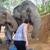 tour-thing-to-do-elephant-jungle-sanctuary-phuket-8