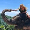 Learn-to-ride-bareback-1-hour-experienced-Elephant-Phuket