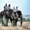 Learn-to-ride-bareback-30-mins-experienced-instructor-Elephant-Phuket-3