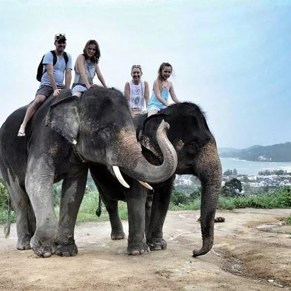 Learn-to-ride-bareback-30-mins-experienced-instructor-Elephant-Phuket-3