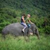 Learn-to-ride-bareback-30-mins-experienced-instructor-Elephant-Phuket-6