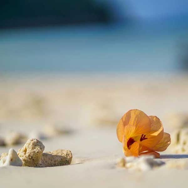 Half-Day-Afternoon-Sunset-Racha-Island-Tour-Phuket-14