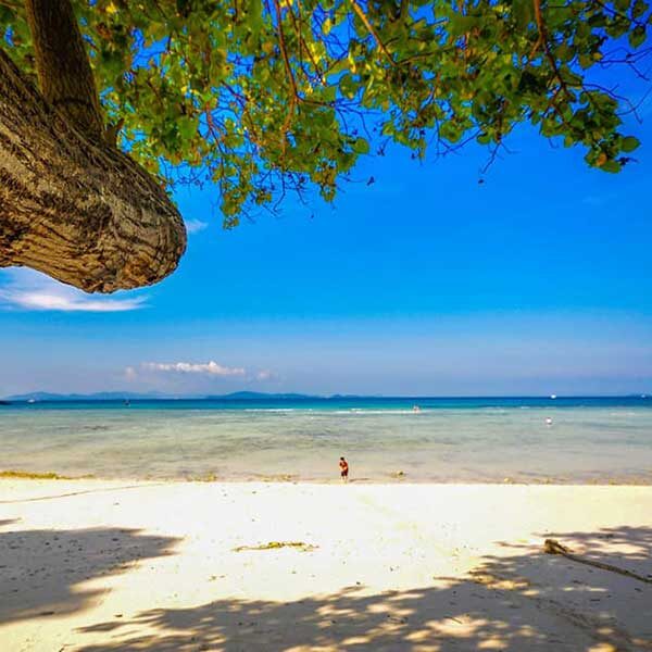 Half-Day-Afternoon-Sunset-Racha-Island-Tour-Phuket-15