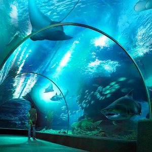 Book Package Ocean World + Madame Tussauds Bangkok