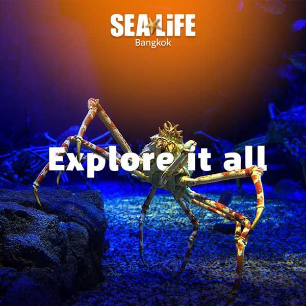 Sea-Life-Ocean-World-Bangkok-Best-Ticket