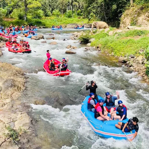 Groups enjoying rafting during the Song Preak Phang Nga Phuket Rafting Adventure